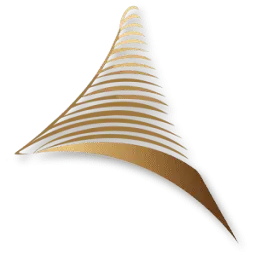 Dzbimar.com Favicon