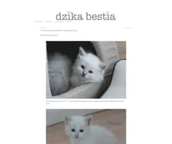 Dzikabestia.pl(Dzika Bestia) Screenshot