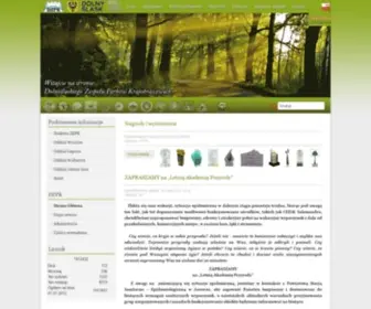 DZPK.pl(Strona Główna) Screenshot