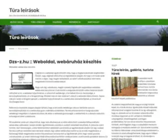 DZS-Z.hu(Webdesign, webáruház, weboldal készítés) Screenshot