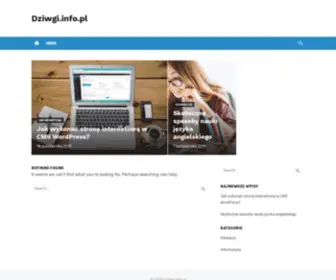 Dzwigi.info.pl(Dzwigi) Screenshot