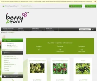 E-Berryandmore.com(Berry&more™) Screenshot