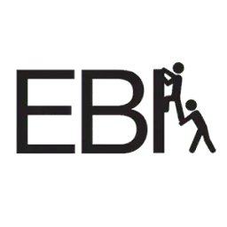 E-Bfoundation.com Logo
