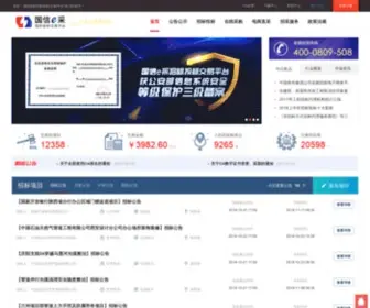 E-Bidding.org(北京国信创新科技股份有限公司) Screenshot