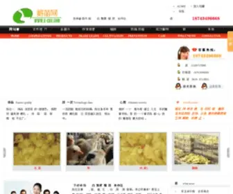 E-Chu.com(E Chu) Screenshot