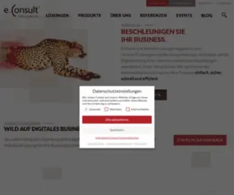 E-Consult-AG.de(Wir beschleunigen Ihr Business) Screenshot