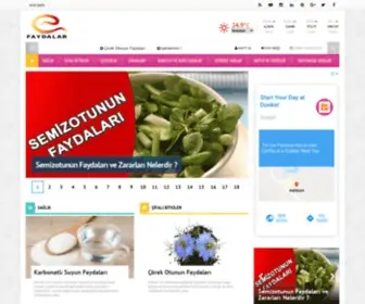 E-Faydalari.com(E-faydaları) Screenshot