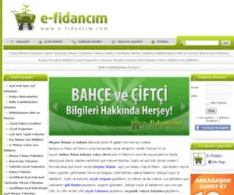 E-Fidancim.com(Aşılı) Screenshot