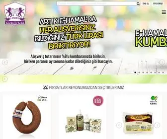 E-Hamal.com(A-Doğal Gıda b-Sağlıklı c-Zamanında d) Screenshot