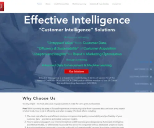 E-Intelligence.com(Analytical Customer Data Intelligence & Lifestage Segmentation) Screenshot