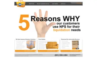 E-NPS.com(National Product Saless) Screenshot