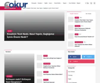 E-Okur.com(English) Screenshot