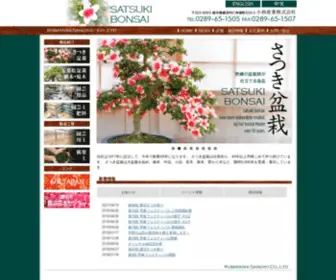 E-Satsukibonsai.com(さつき) Screenshot