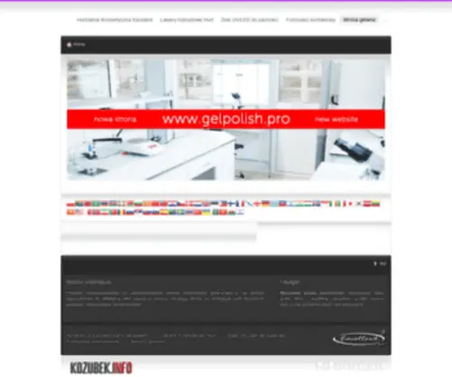 E-Tipsy.pl(Strona główna) Screenshot