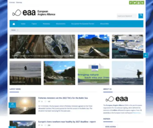 Eaa-Europe.org(Eaa Europe) Screenshot
