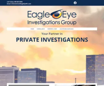 EagleeyencGroup.com(Eagle Eye Investigation Group) Screenshot