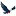 Eagles-Catch.com Favicon