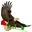 Eagleslair.com Favicon
