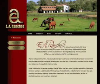 Earanches.com(E.A) Screenshot