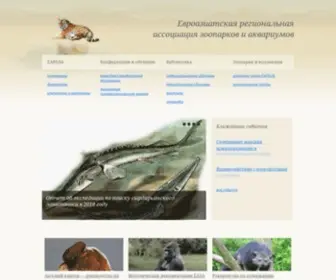 Earaza.ru(Евроазиатская) Screenshot