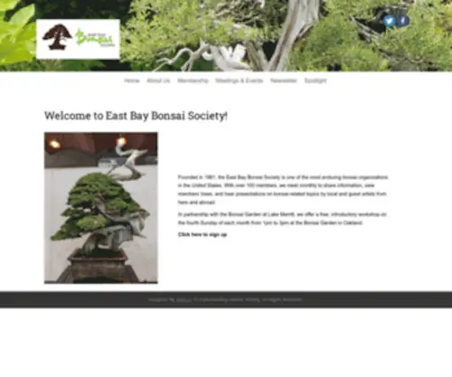 Eastbaybonsai.org(A society dedicated to the living art of Bonsai) Screenshot