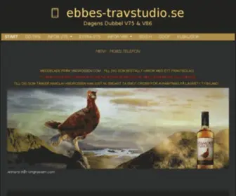 Ebbes-Travstudio.se(STARTSIDA) Screenshot