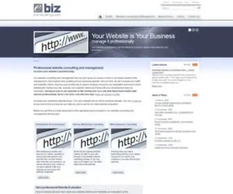 Ebiz-Consulting.com(Website Consulting and management by professional website consultants) Screenshot