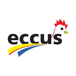 Eccus.com.do Favicon