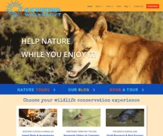 Echidnawalkabout.com.au(Wildlife in the wild) Screenshot