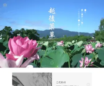 Echigoyakuso.co.jp(越後薬草) Screenshot