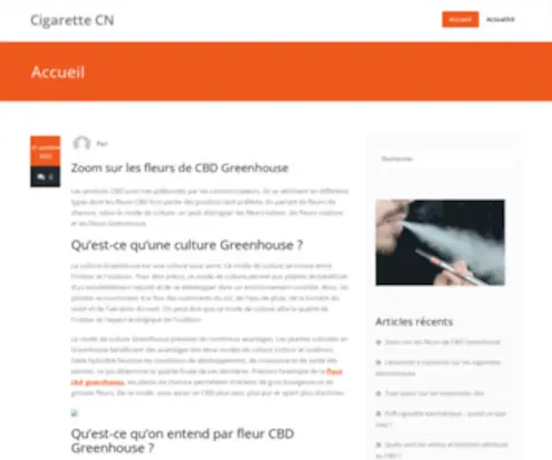 Ecigarettecn.fr(E-cigarette,Cigarette) Screenshot