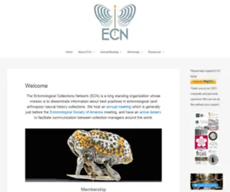 Ecnweb.org(Ecnweb) Screenshot