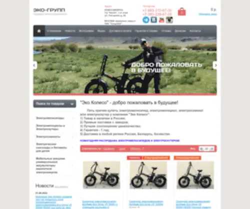 Eco-Koleso.ru(Электровелосипеды) Screenshot
