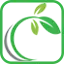 Eco2X.com Favicon