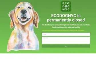 Ecodognyc.com(ECO Dog NYC) Screenshot