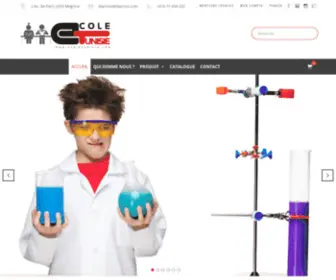 Ecoletunisie.com(Ecole Tunisie) Screenshot