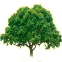 Ecolorencontre.com Logo