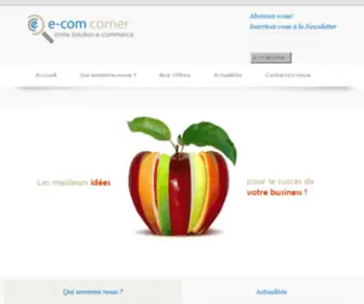 Ecomcorner.com(99真人平台) Screenshot