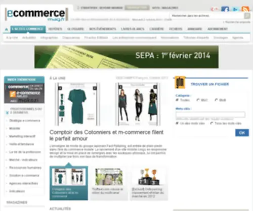 Ecommercevad.fr(E-commerce Mag, le site du e-commerce et de la vente à distance) Screenshot