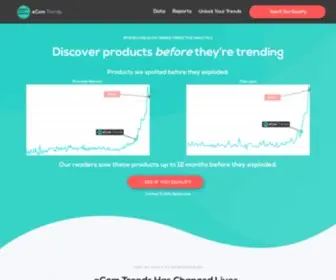 Ecomtrends.co(ECom Trends) Screenshot