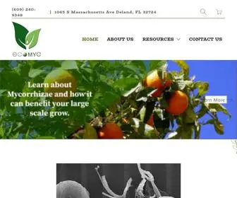 Ecomyc.com(Ecomyc International Corporation) Screenshot