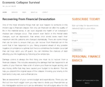 Economiccollapsesurvival.com(Survive The Next Collapse) Screenshot