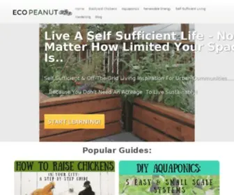 Ecopeanut.com(Eco Peanut) Screenshot