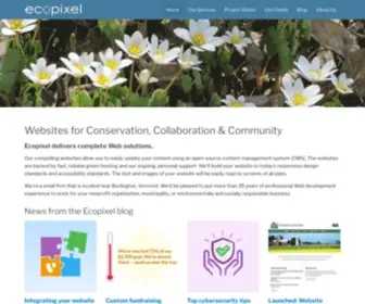 Ecopixel.com(CMS Website Developer in Vermont) Screenshot
