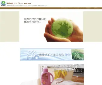 Ecoplatz.com(いつも使用している洗濯用、清掃用) Screenshot