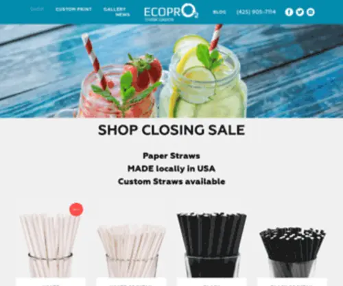 Ecopro2.com(Paper Straws) Screenshot