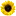 Ecoresearch.net Favicon