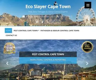 Ecoslayercapetown.co.za(Cape Town) Screenshot