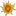 Ecostar.org Favicon