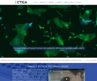 Ectica-Technologies.com(Ectica Technologies AG) Screenshot